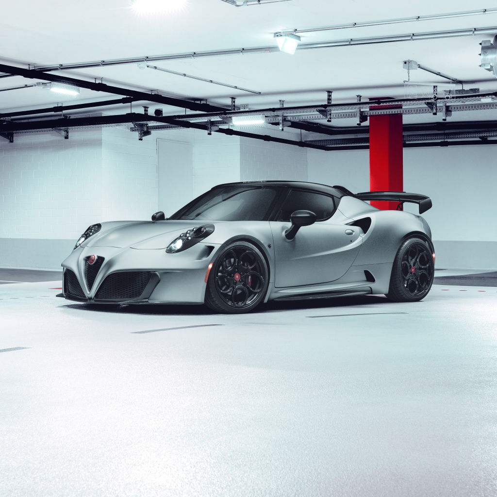 Серебристый Pogea Racing Nemesis 2020 года в гараже