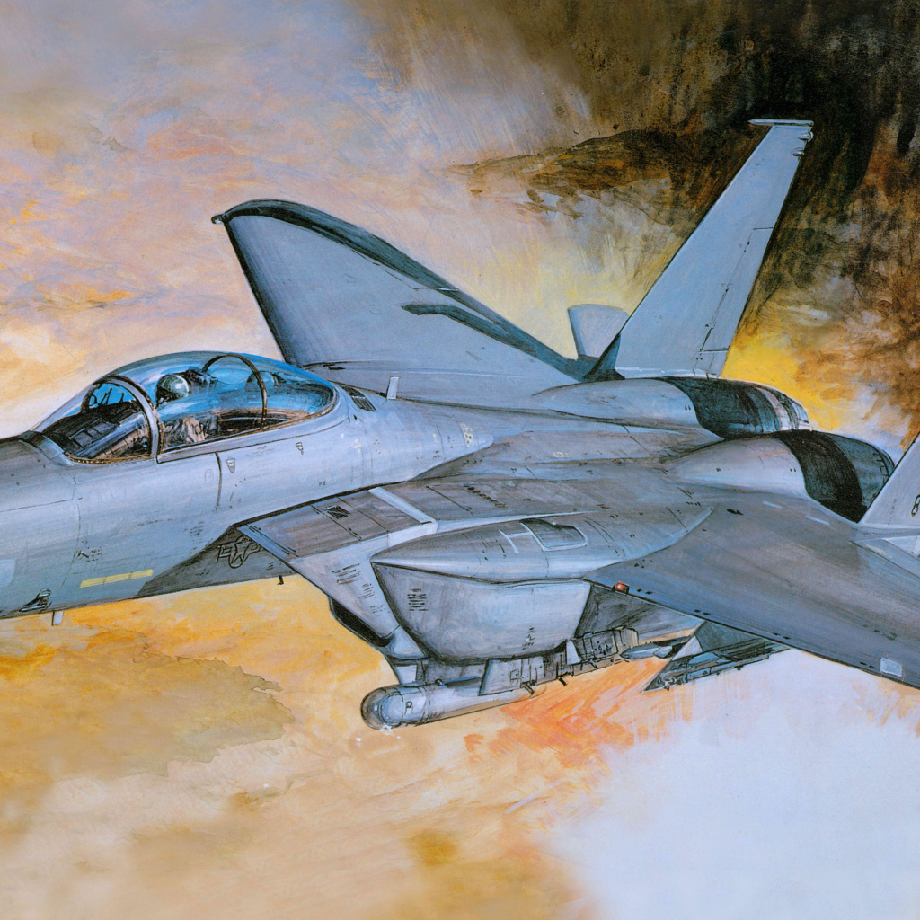 Серый военный самолет McDonnell Douglas