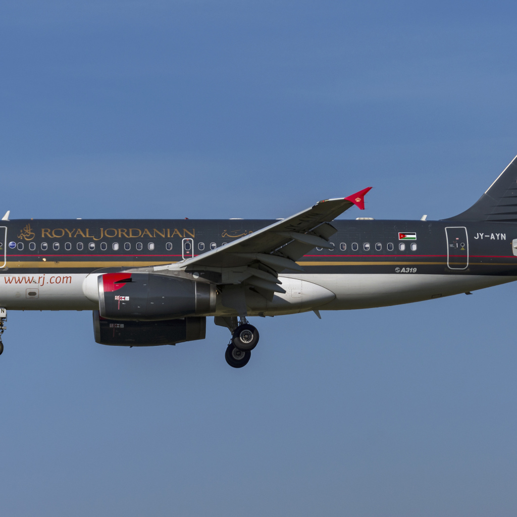 Пассажирский  Airbus A319-100 авиакомпании  Royal Jordanian в небе 