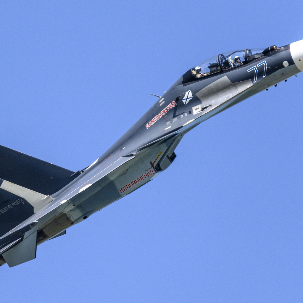 Russian Su-30SM fighter in the sky
