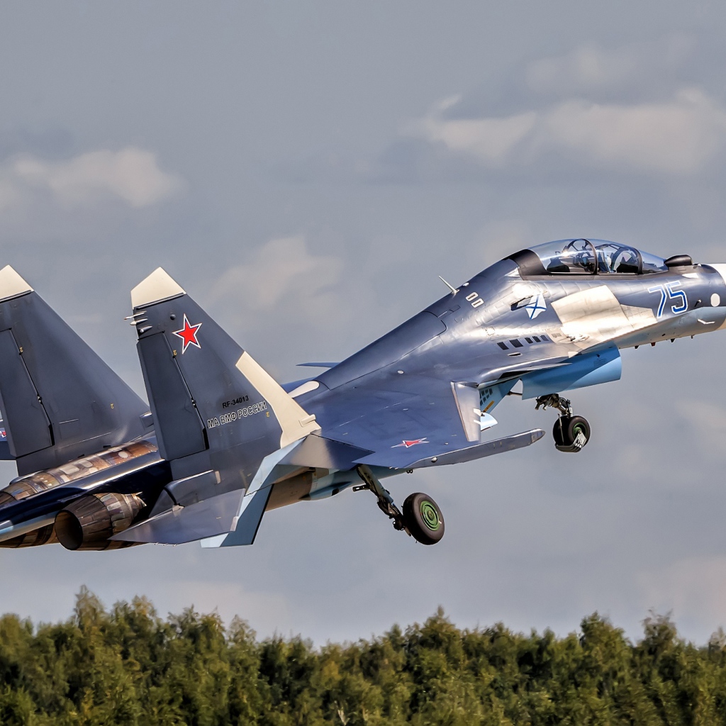 Su-30 Su-30SM fighter takes off into the sky