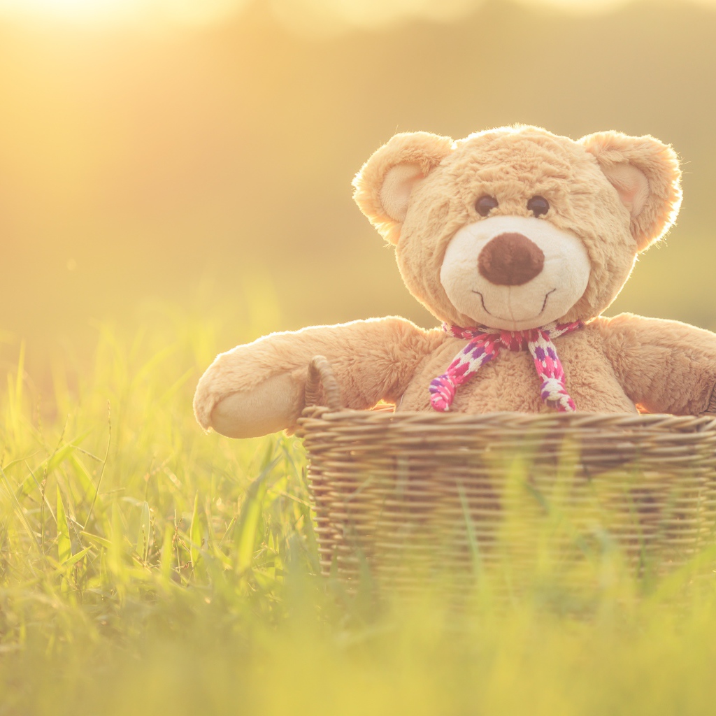 Плюшевый медведь в корзине стоит на зеленой траве