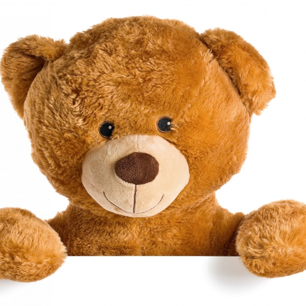 Милый плюшевый медвежонок на белом фоне