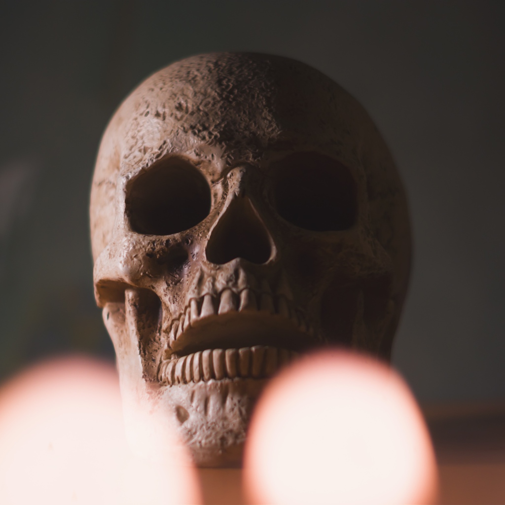 Большой череп на столе крупным планом