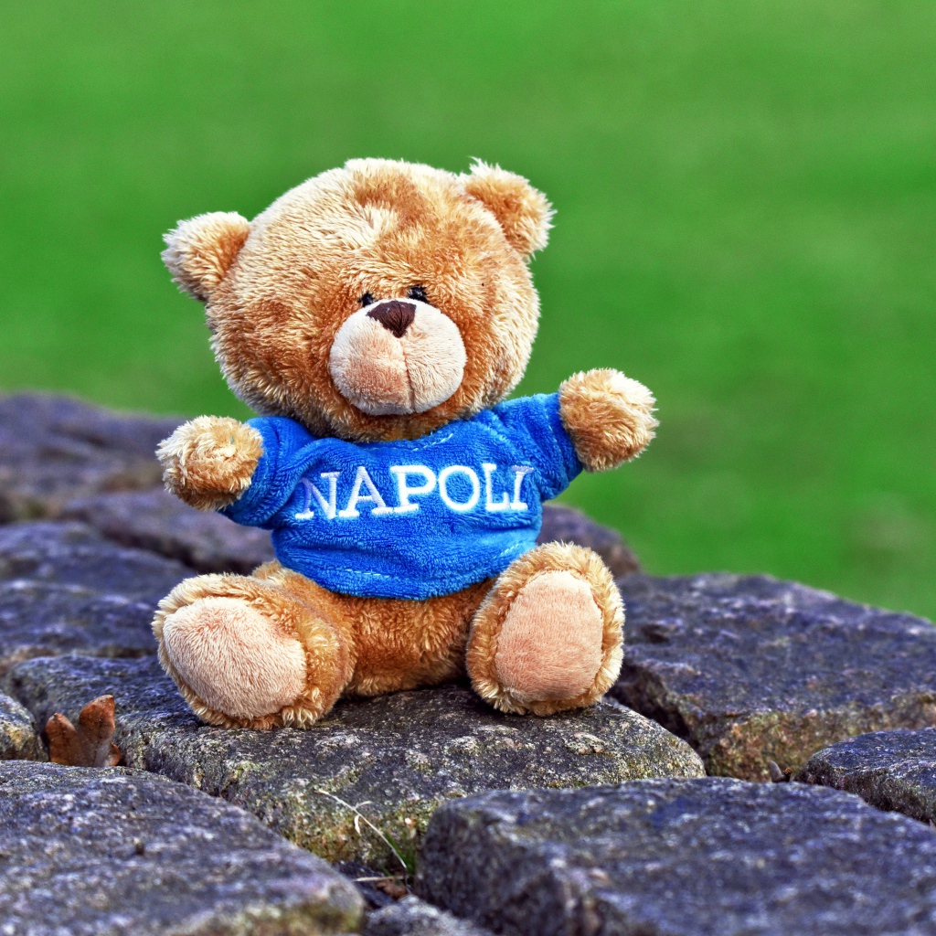 Маленький игрушечный медвежонок сидит на камнях 