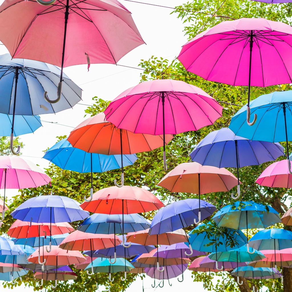 Много разноцветных зонтов в парке 