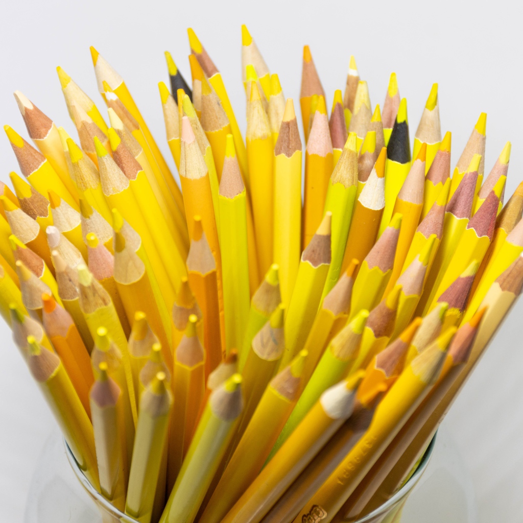 Много желтых карандашей на белом фоне крупным планом