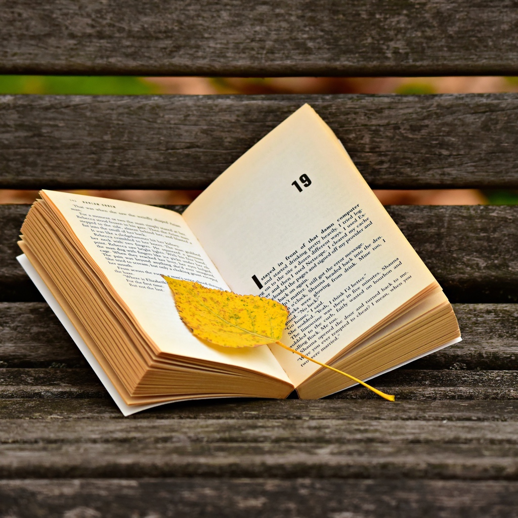 Открытая книга с желтым листом на лавке 
