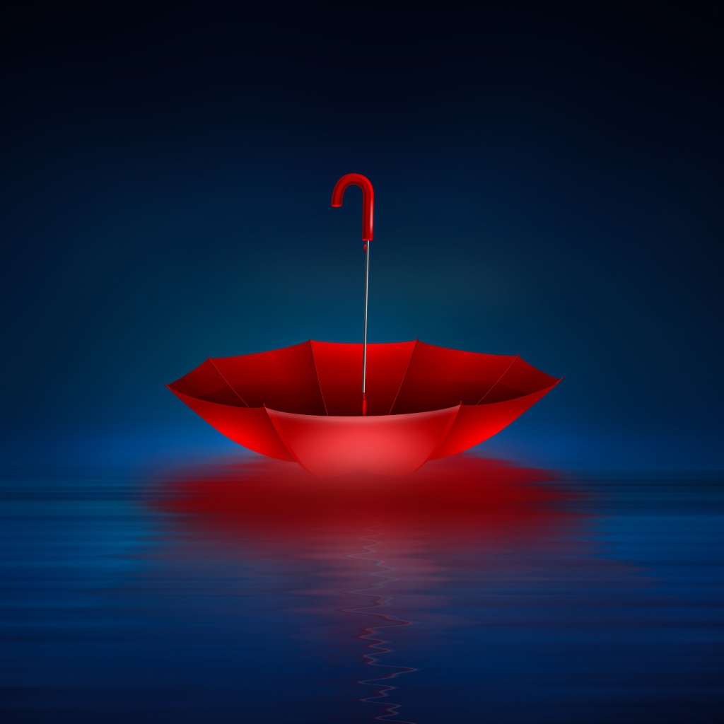 Red inverted umbrella in water