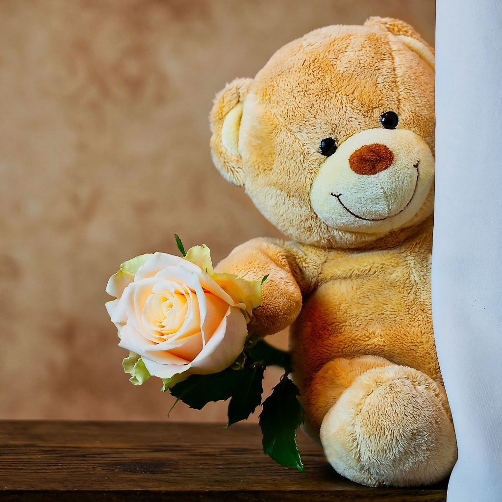 Медвежонок Тедди с розой за шторой 