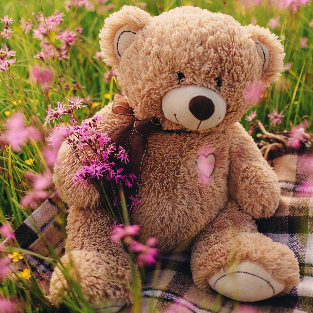 Медвежонок Тедди сидит в зеленой траве 