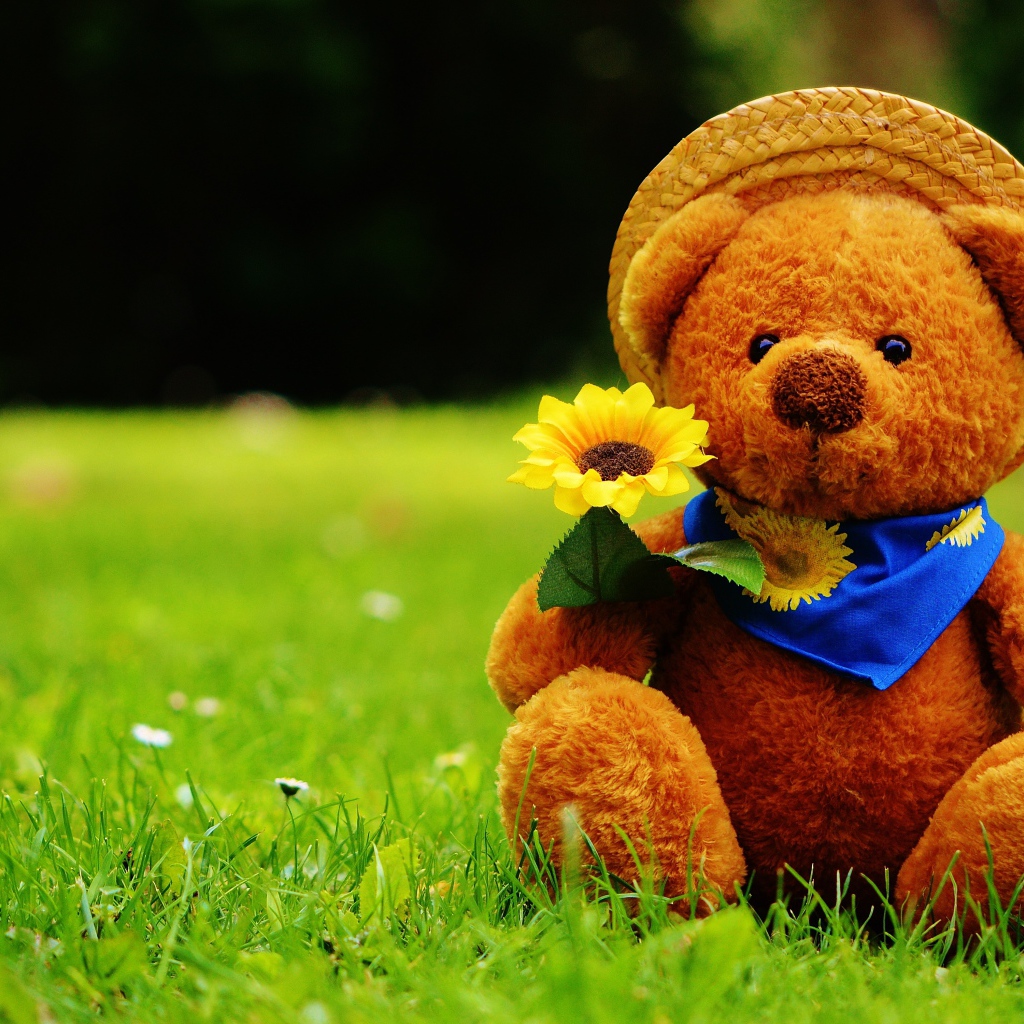 Мишка Тедди с цветком сидит на зеленой траве