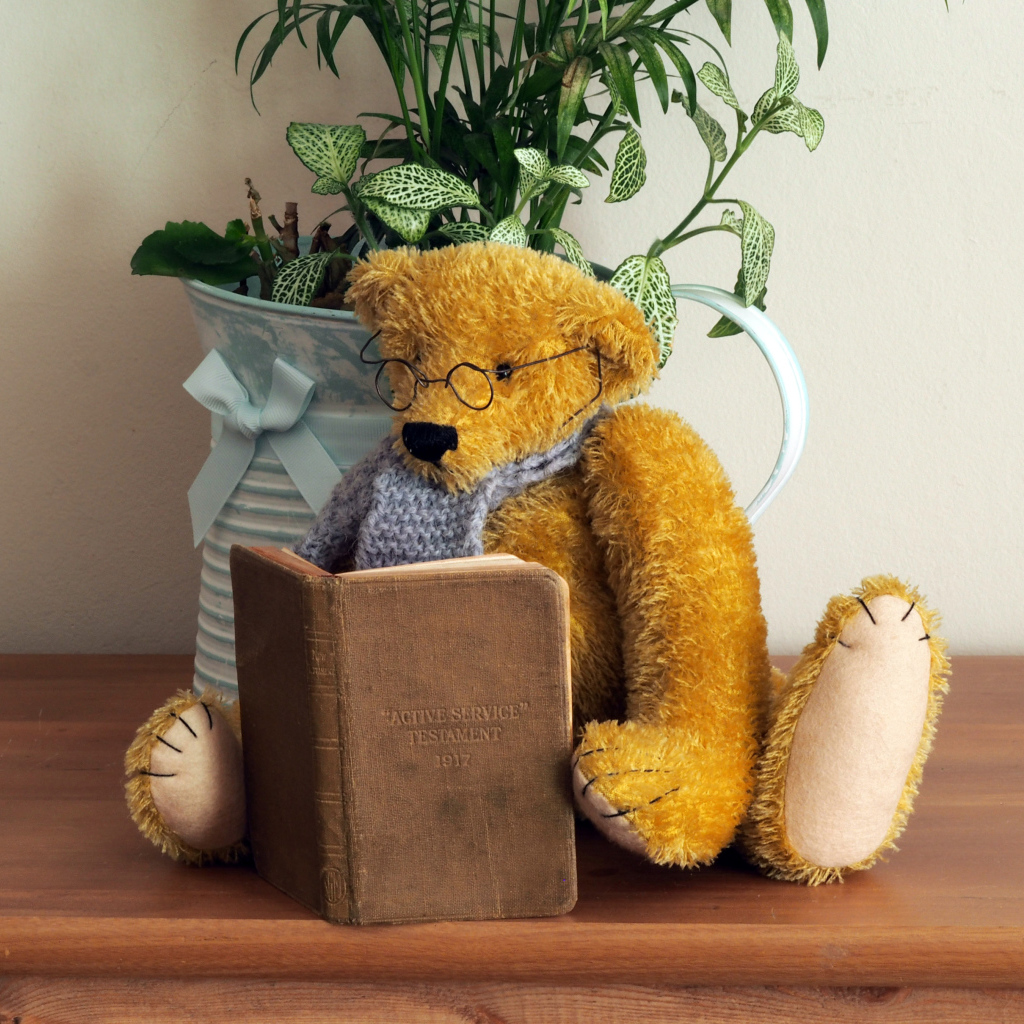 Teddy bear with glasses with a book on the shelf