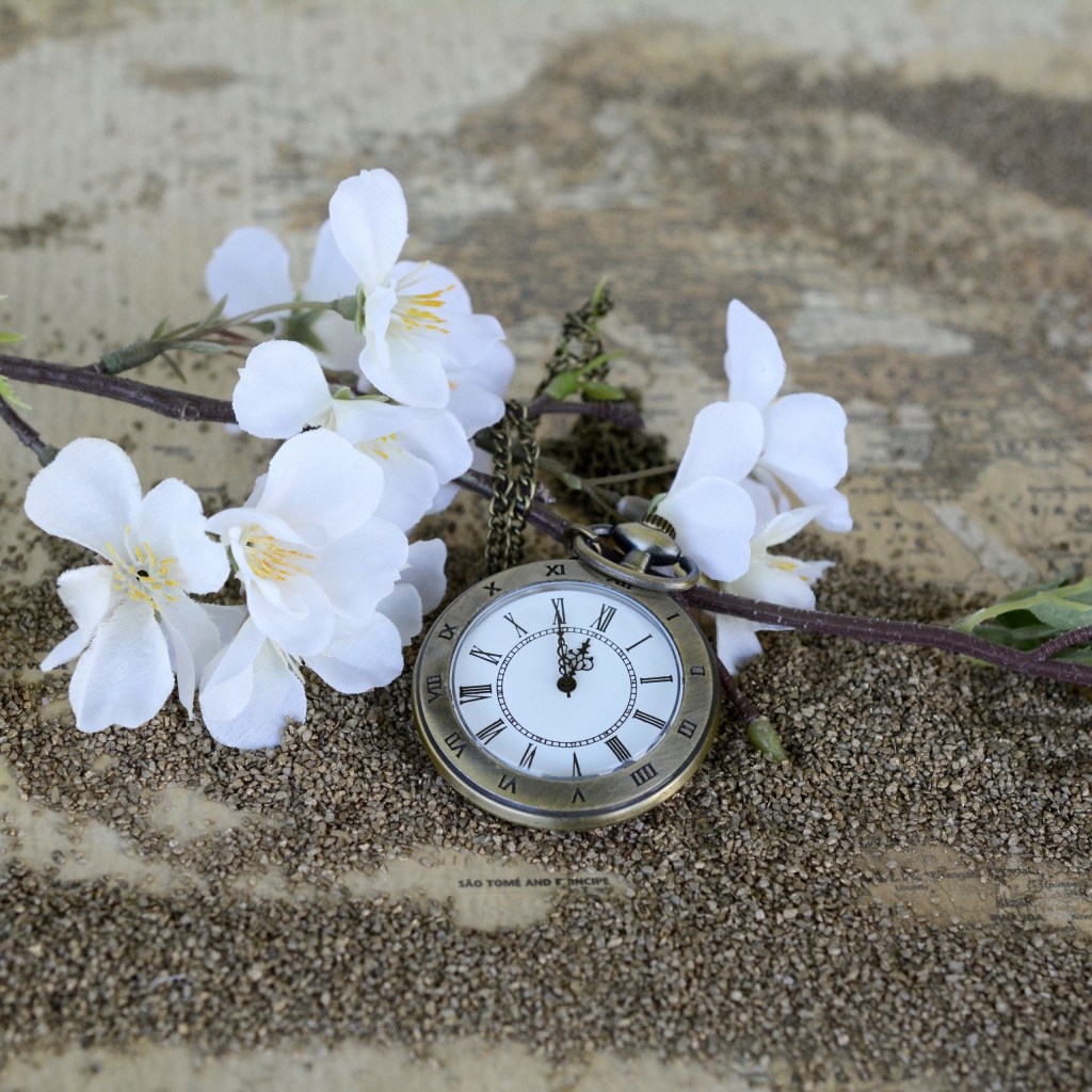Часы лежат на земле с цветущей веткой 