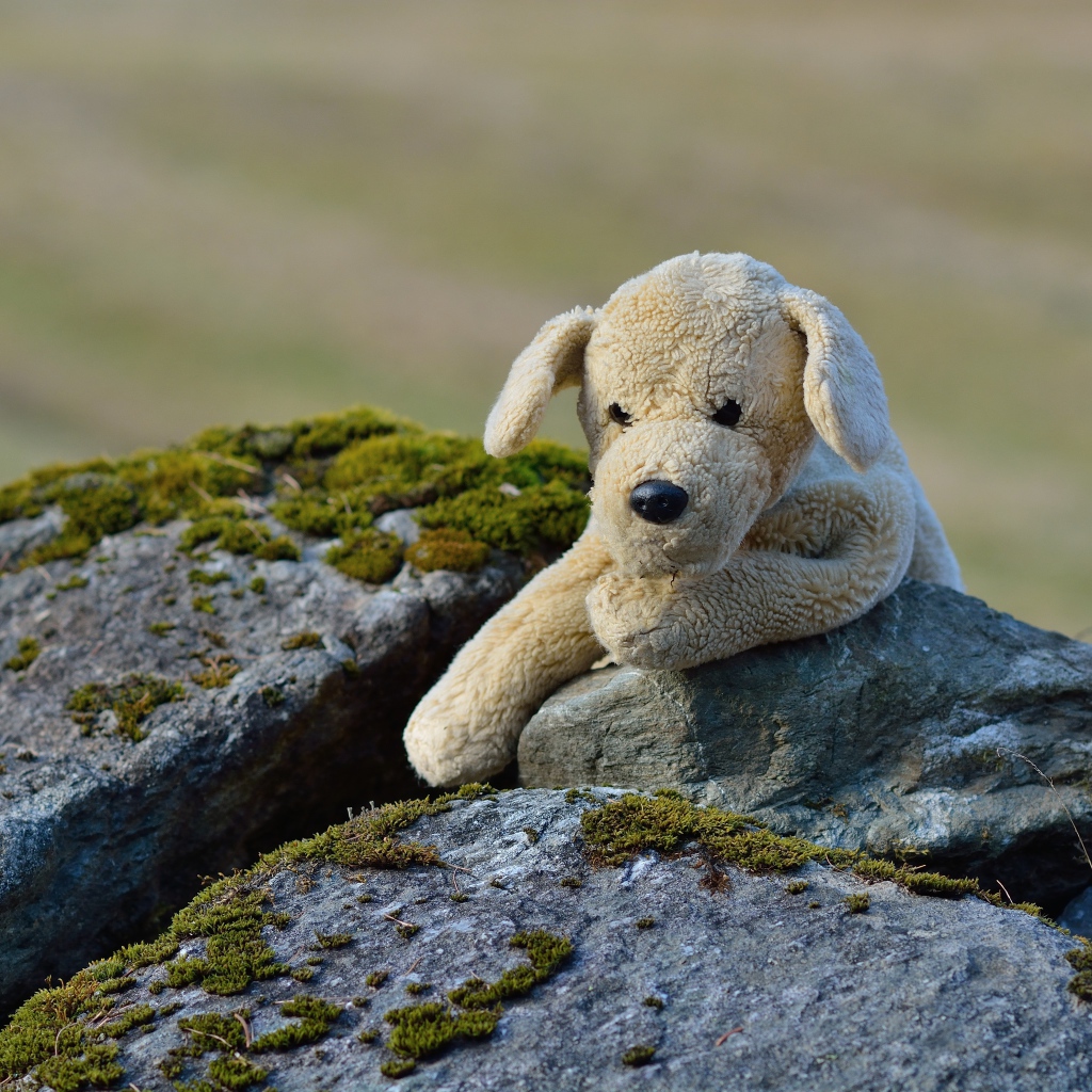 Toy dog lies on a stone