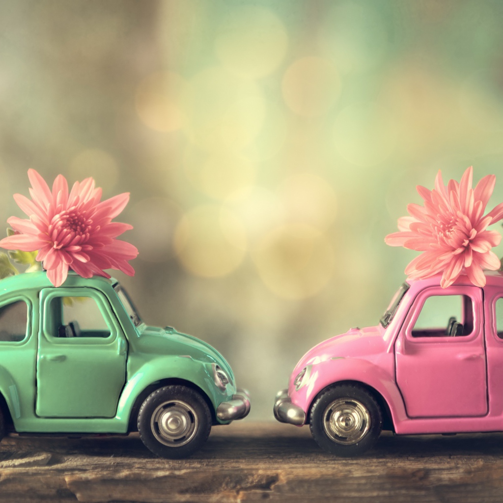 Две игрушечные машинки с цветами розовой хризантемы