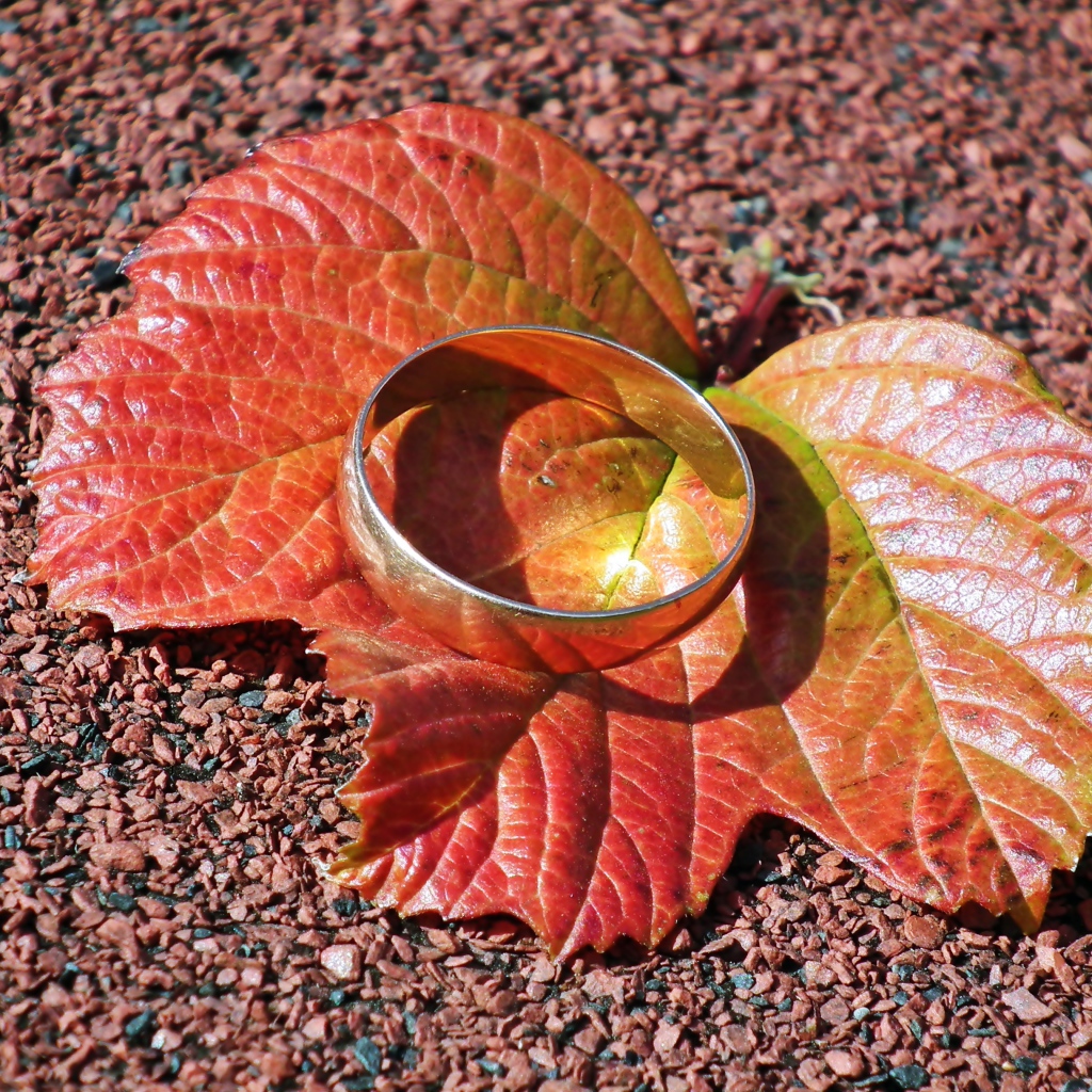 Серебряное кольцо лежит на оранжевом листе