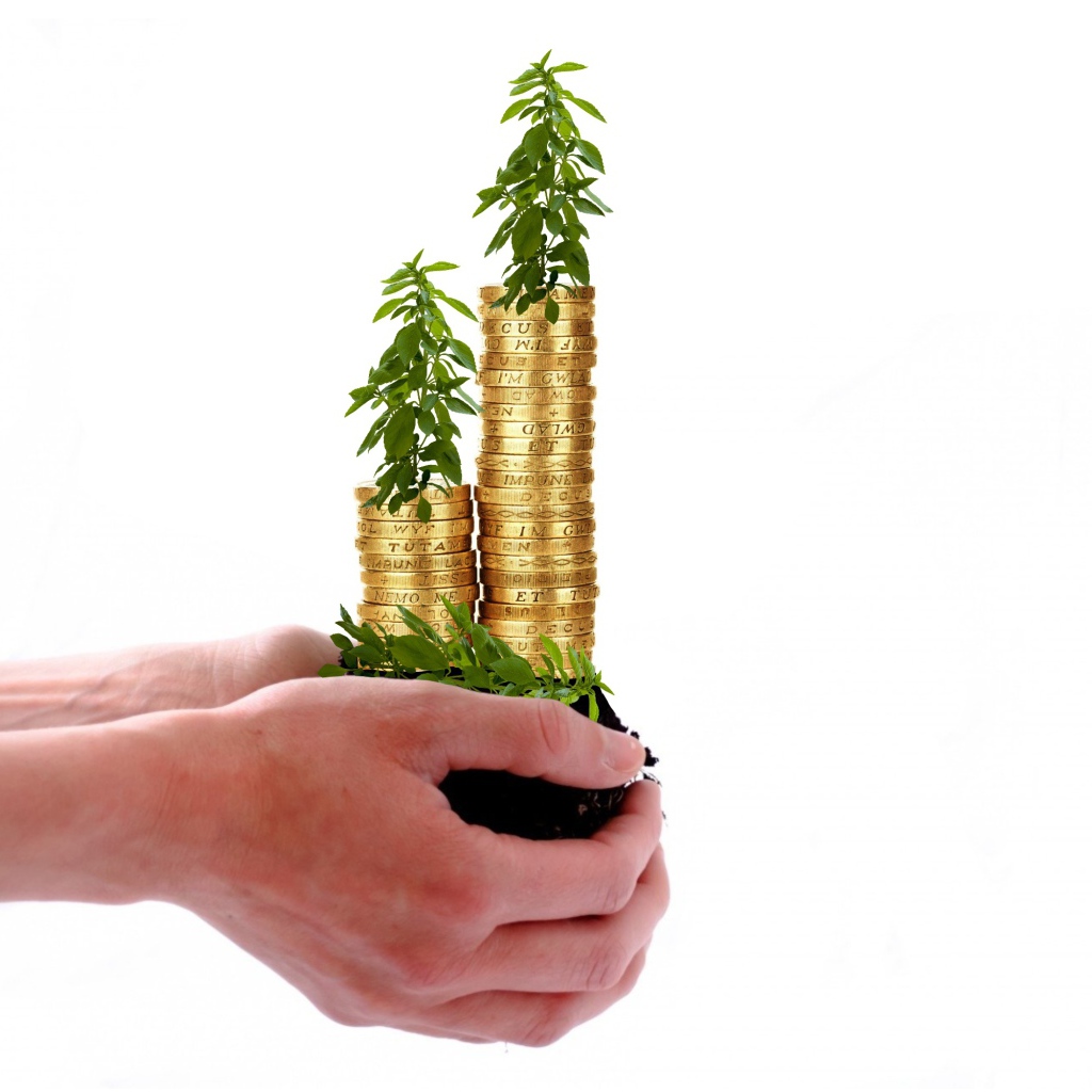 Монеты с зелеными ростками в руках на белом фоне 