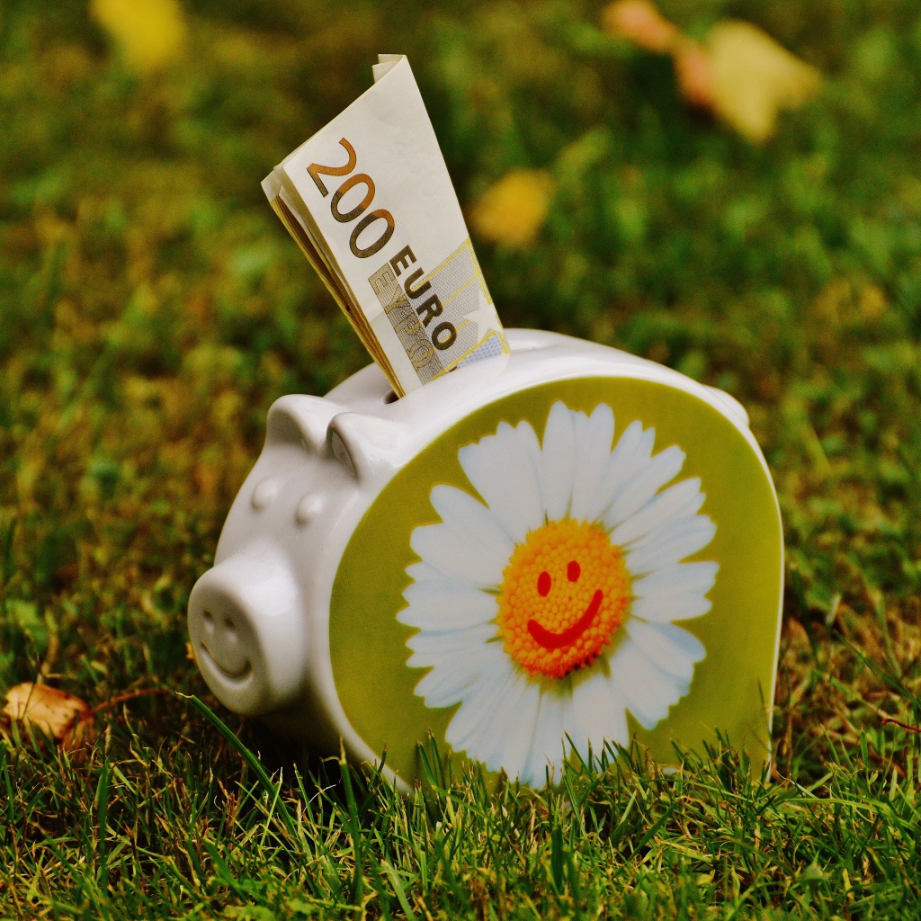 Купюры евро вставлены в свинью копилку с рисунком ромашки