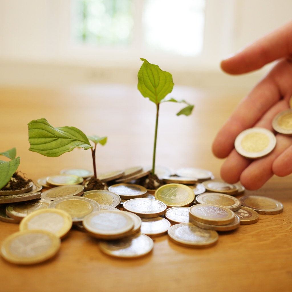 Монеты один евро с ростками на столе 