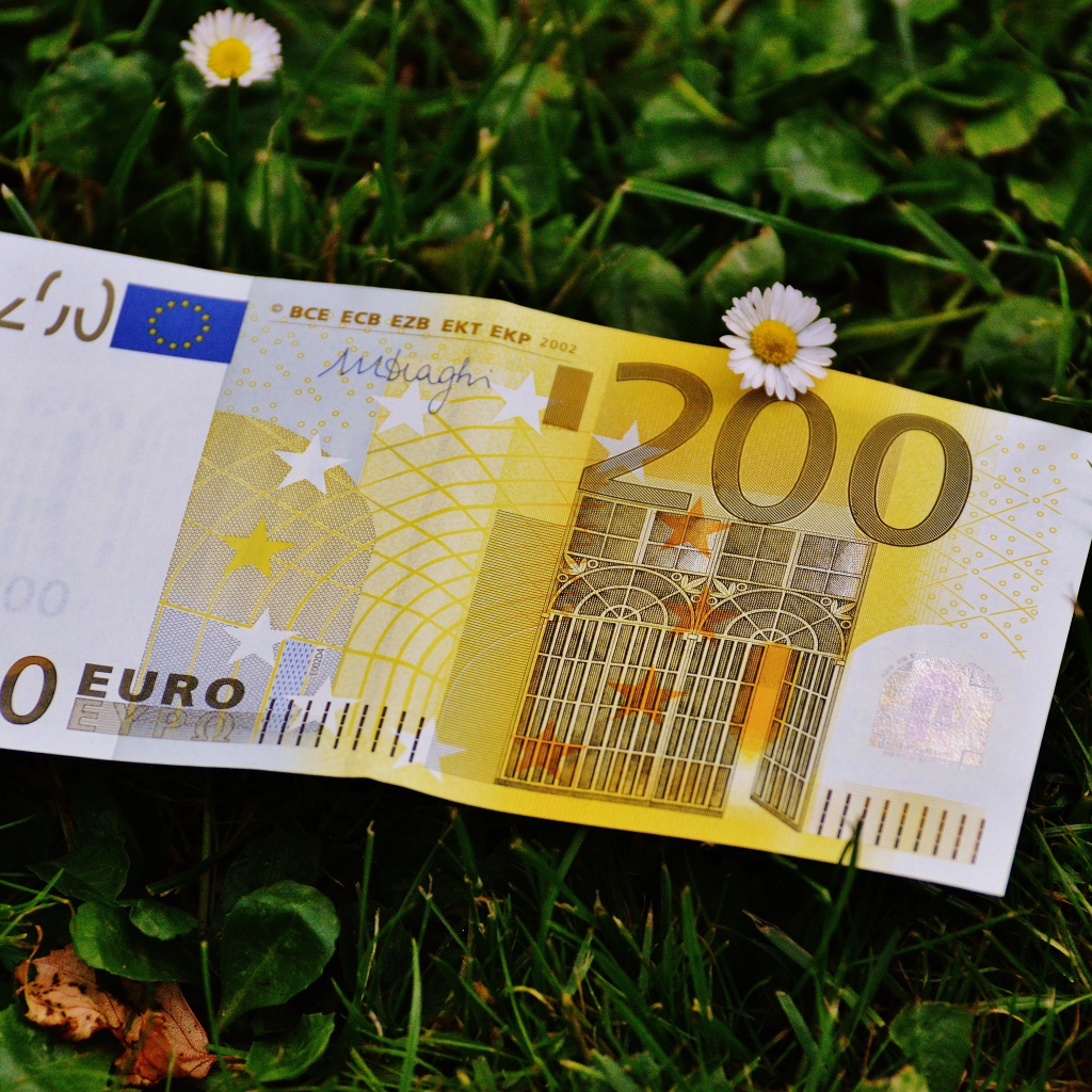 Купюра двести евро лежит на зеленой траве