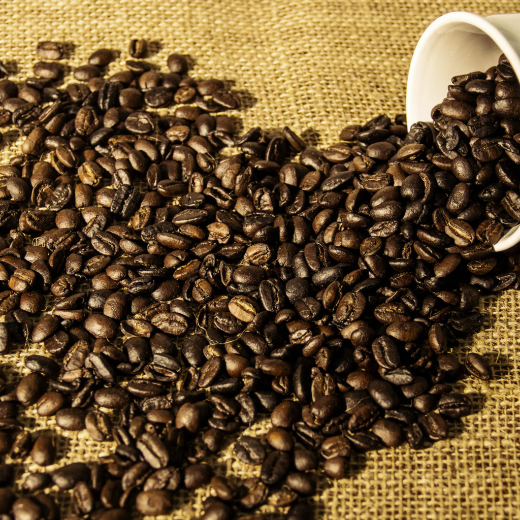 Кофейные зерна высыпаются из белой чашки 