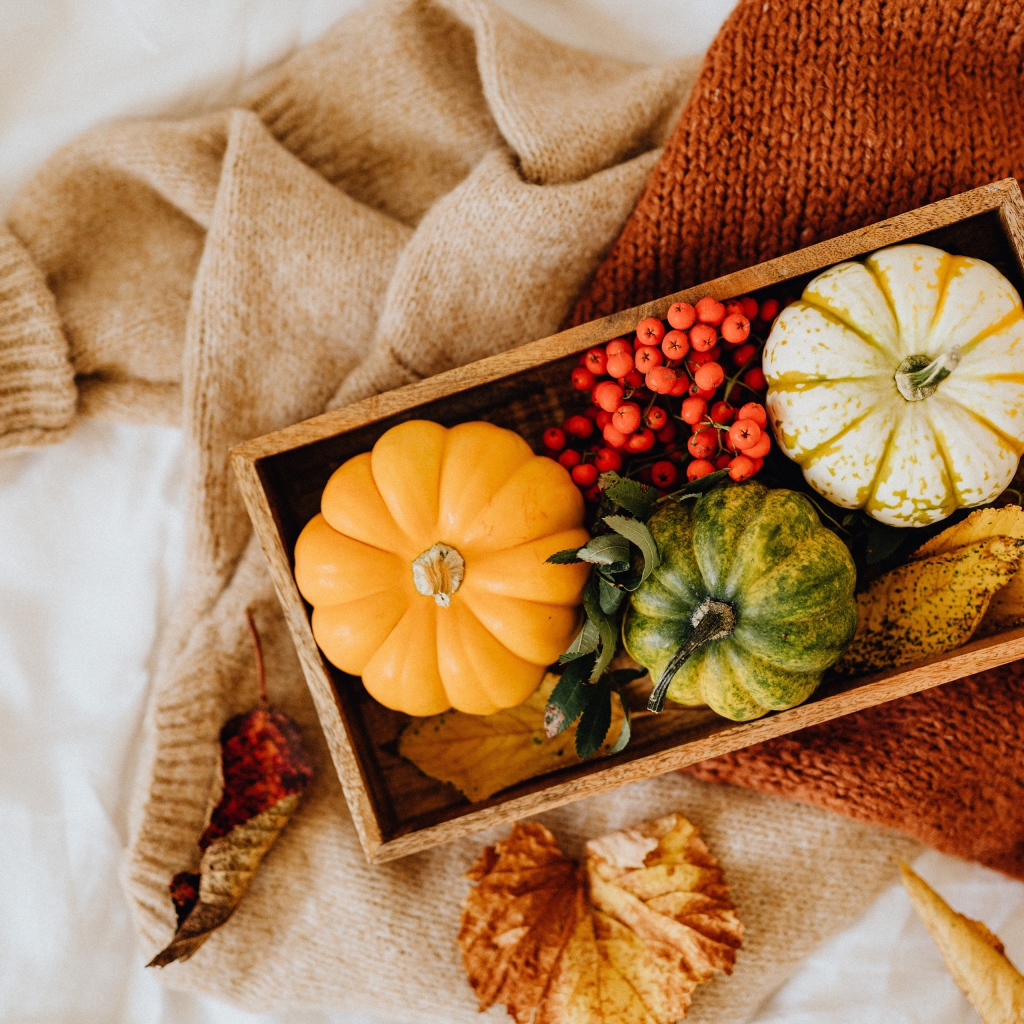 Декоративная тыква в ящике на столе с рябиной
