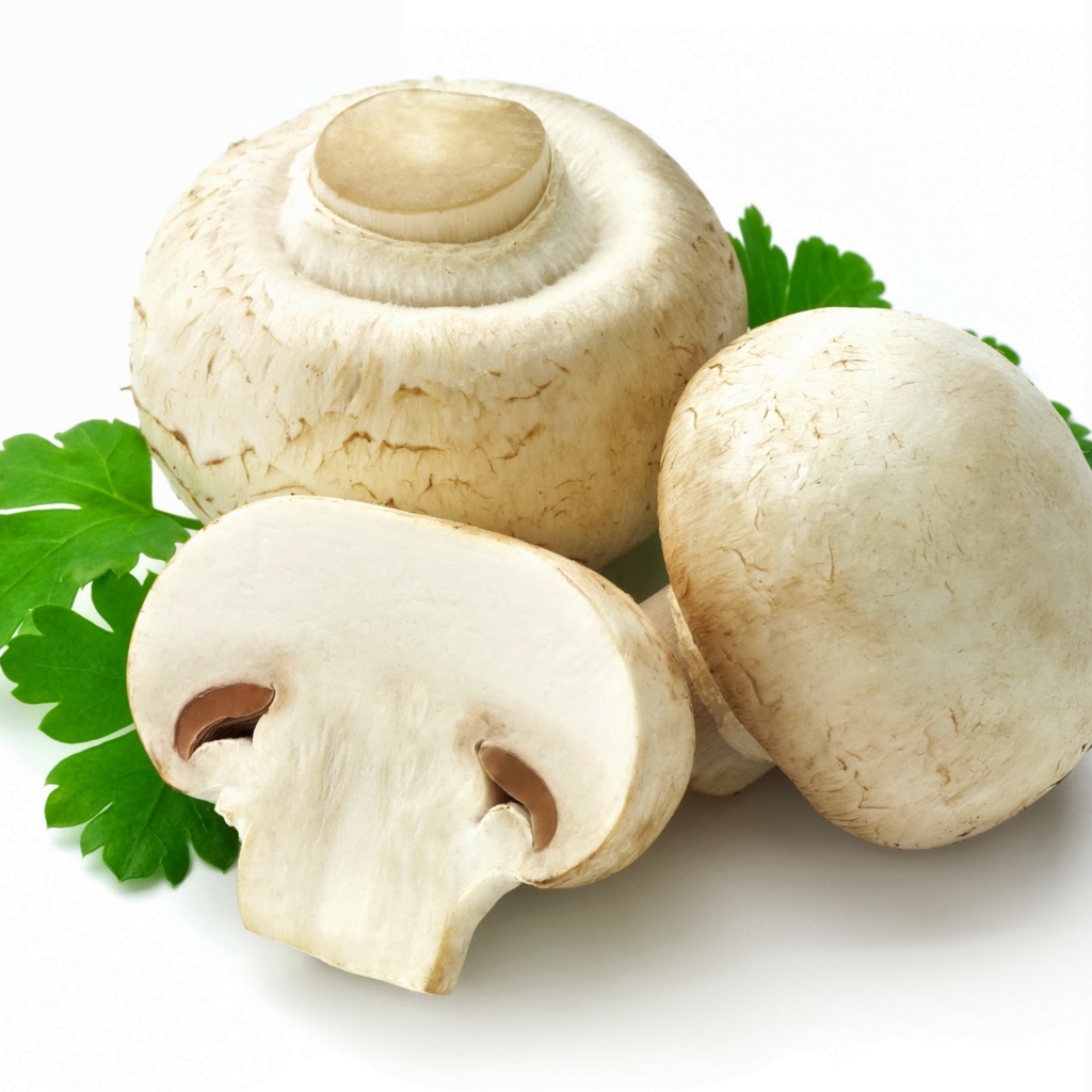 Fresh champignons on a white plate with parsley