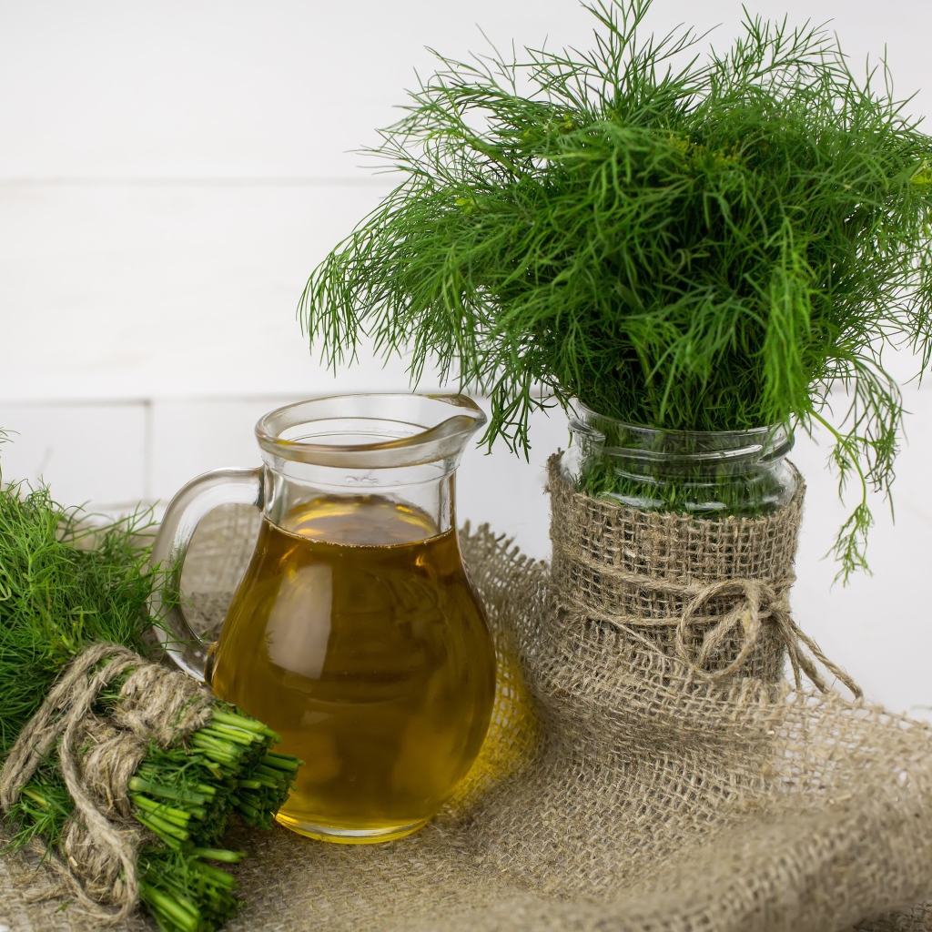 Fresh dill on a table with olive oil