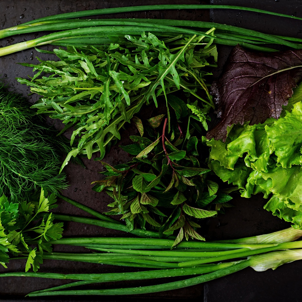 Свежая мокрая зелень лежит на столе 