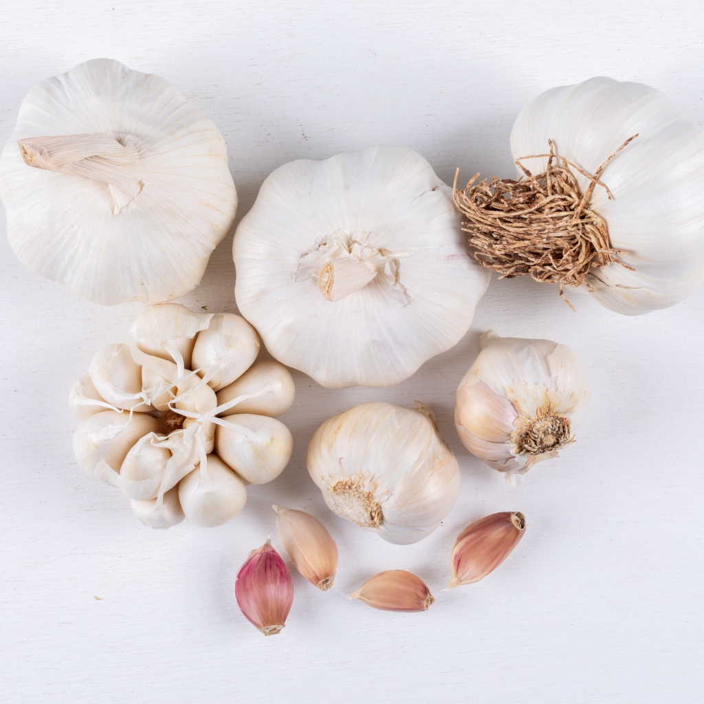 Чеснок на белом фоне крупным планом 