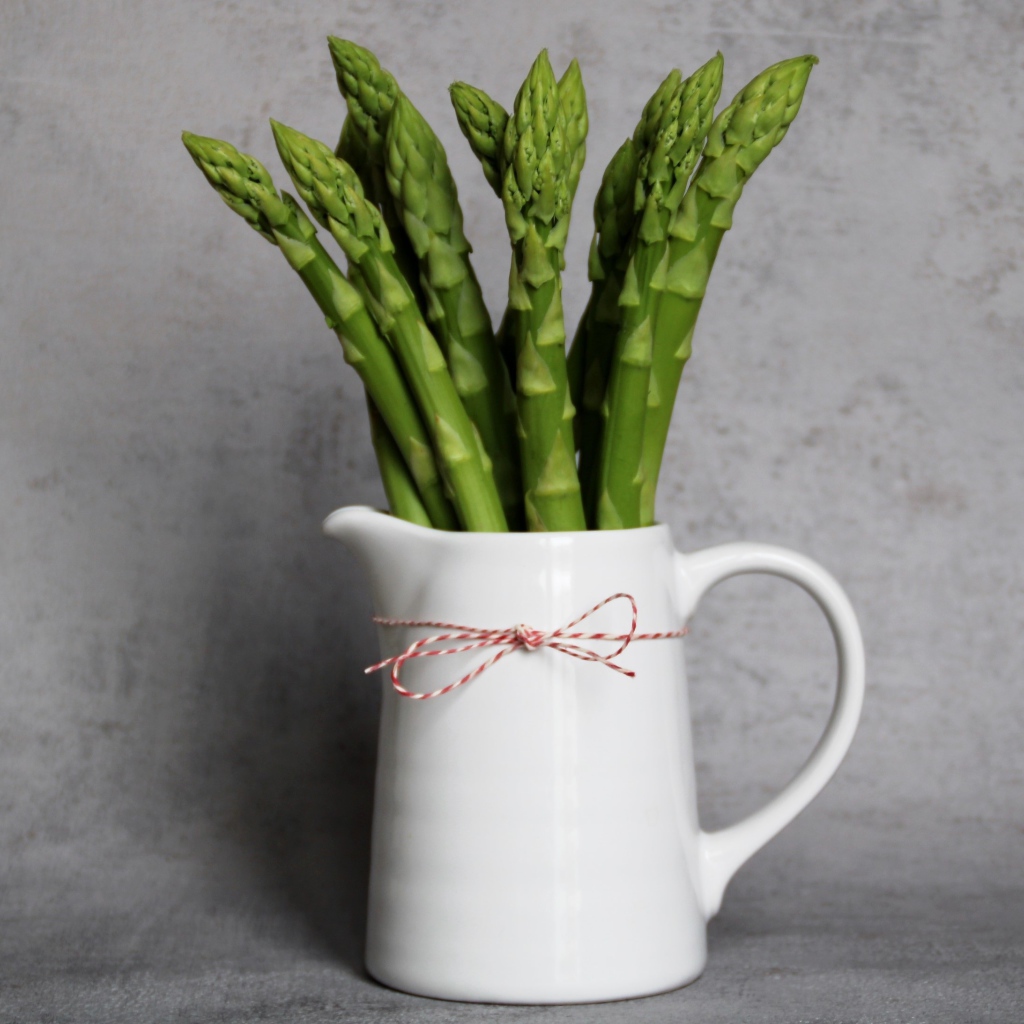 Зеленая спаржа в белой вазе на фоне серой стены