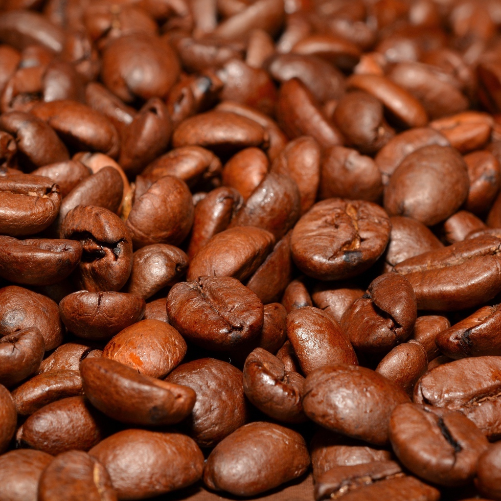Lots of fragrant roasted coffee beans close-up