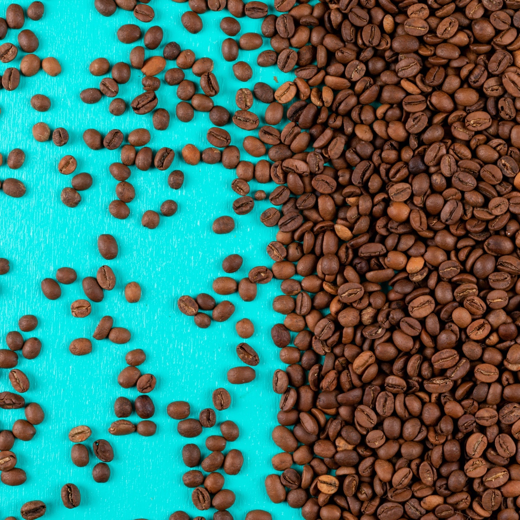 Много обжаренных кофейных зерен на голубом фоне