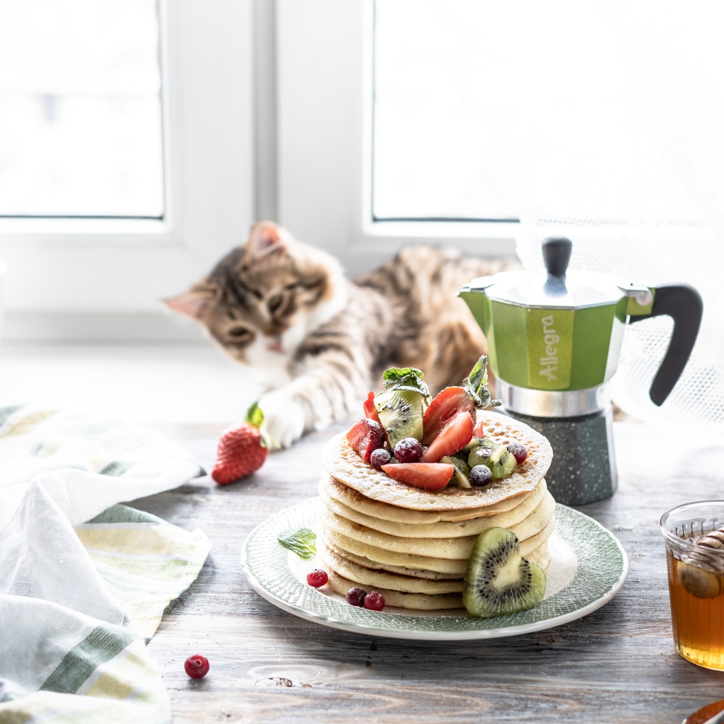 Блины на столе с ягодами, медом и котом 