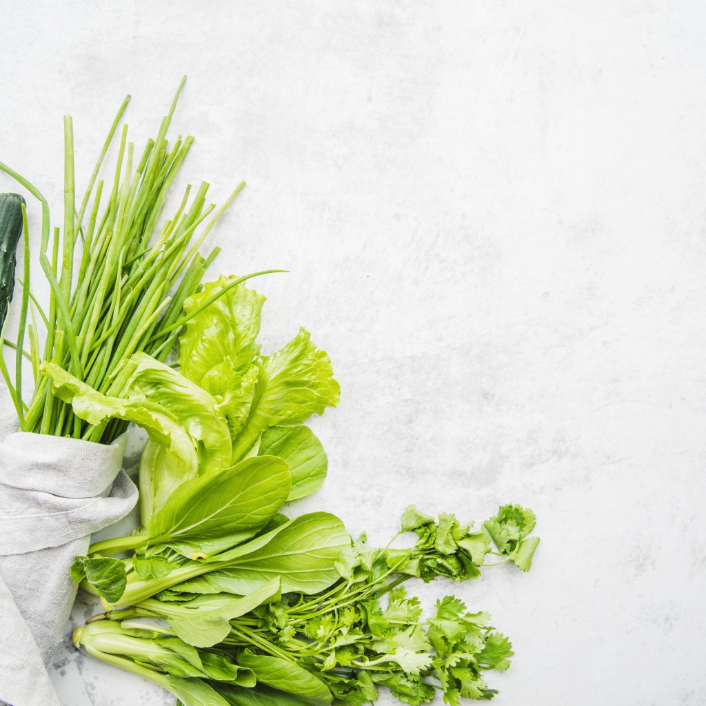 Зелень петрушки и лука, листья салата и свежие огурцы на белом фоне