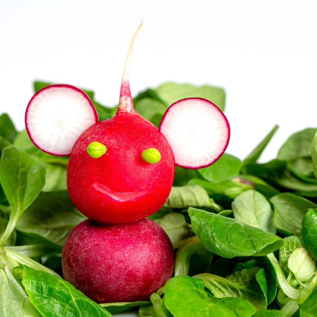 Зверь из красного редиса на листьях базилика 