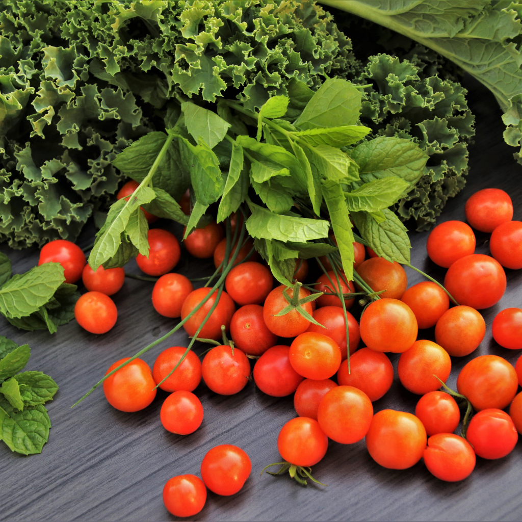 Красные мелкие помидоры на столе с зеленью 