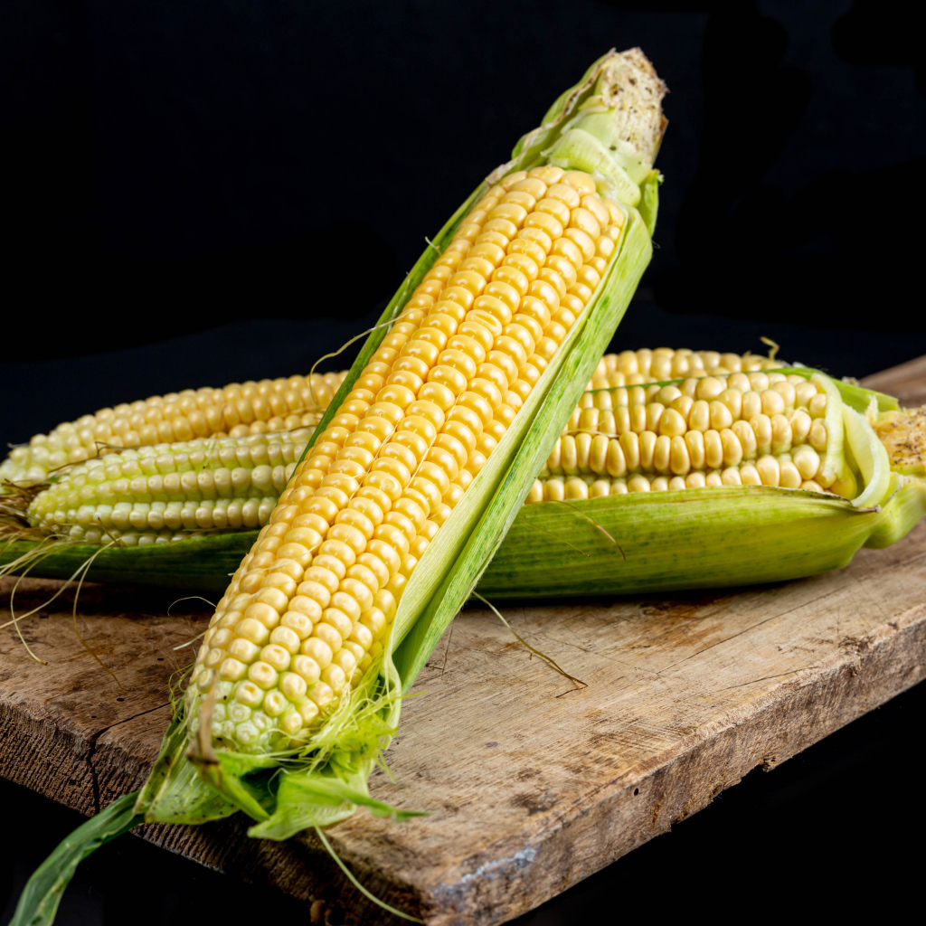 Два початка кукурузы на деревянной доске 
