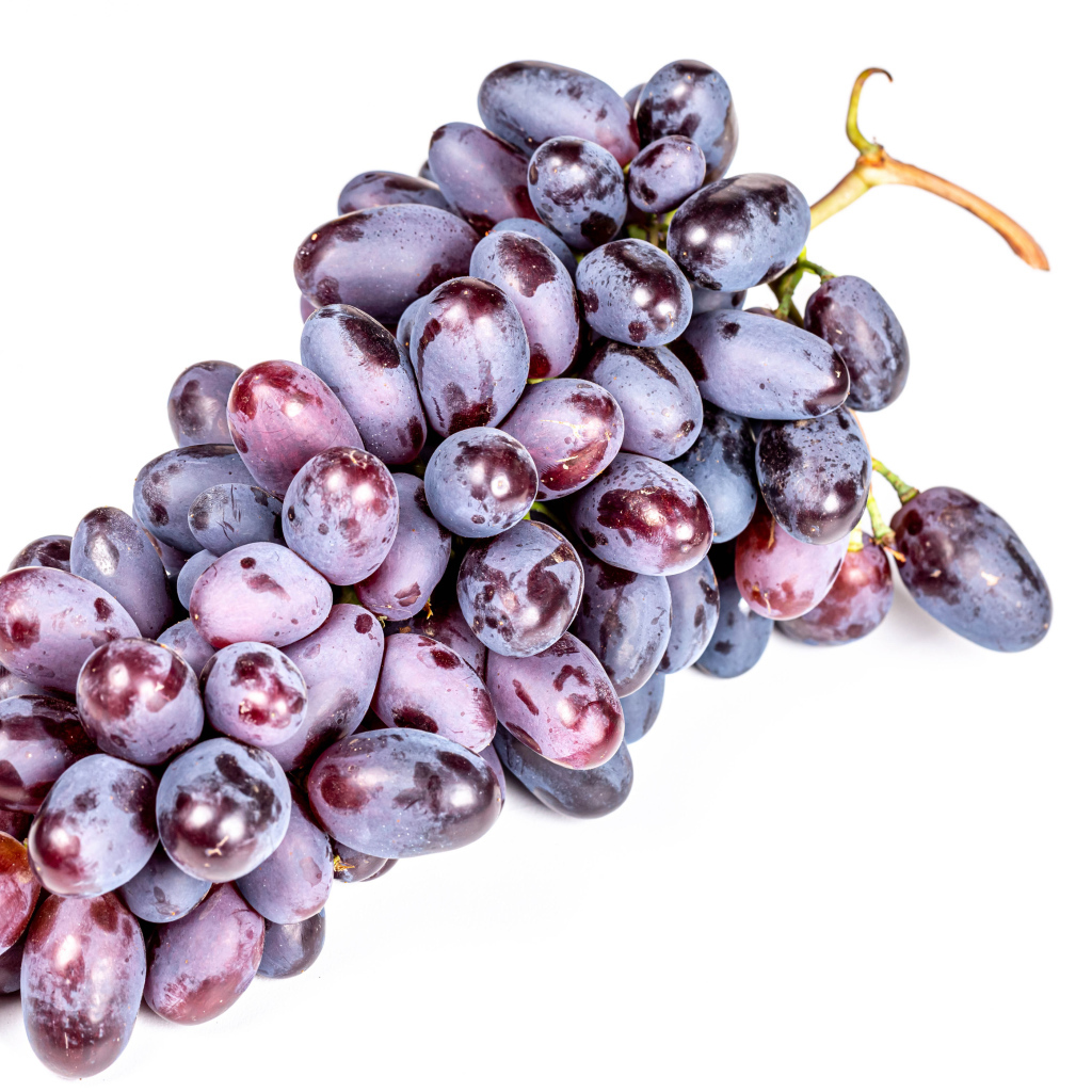 Гроздь синего винограда на белом фоне крупным планом