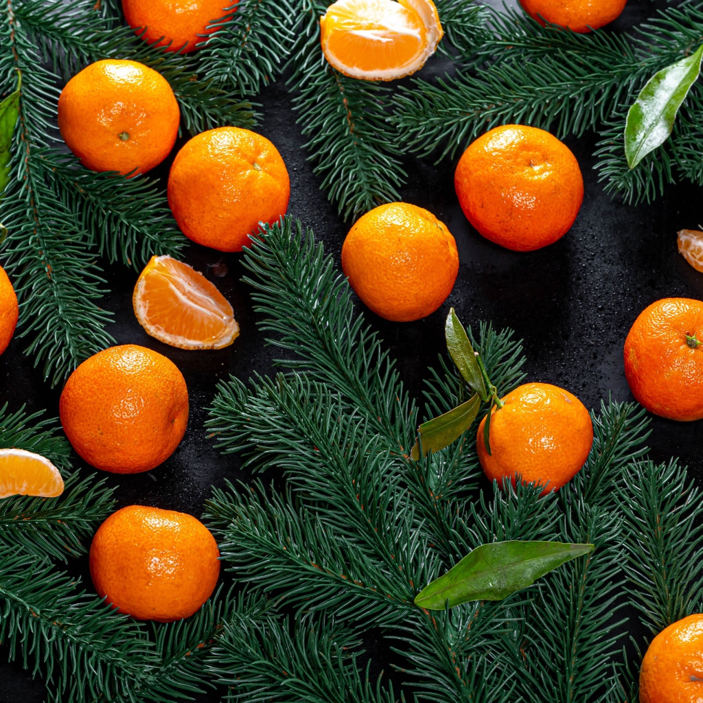 Много мандаринов на столе с еловыми ветками