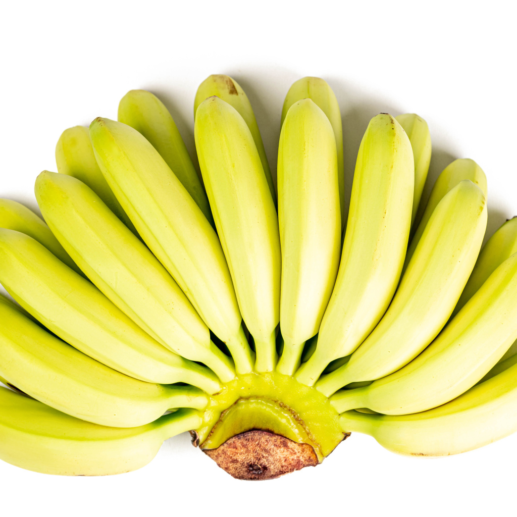Bunch of ripe bananas on white background