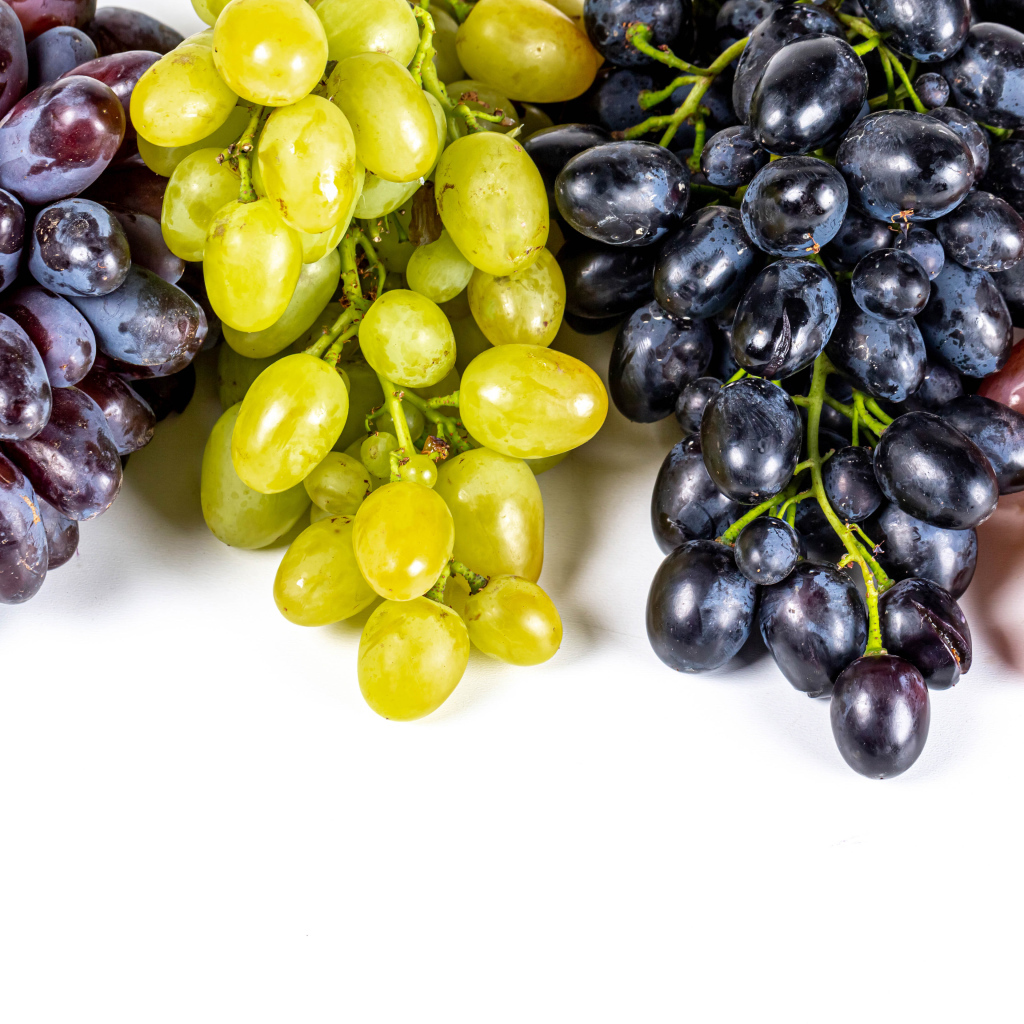Грозди разноцветного винограда на белом фоне