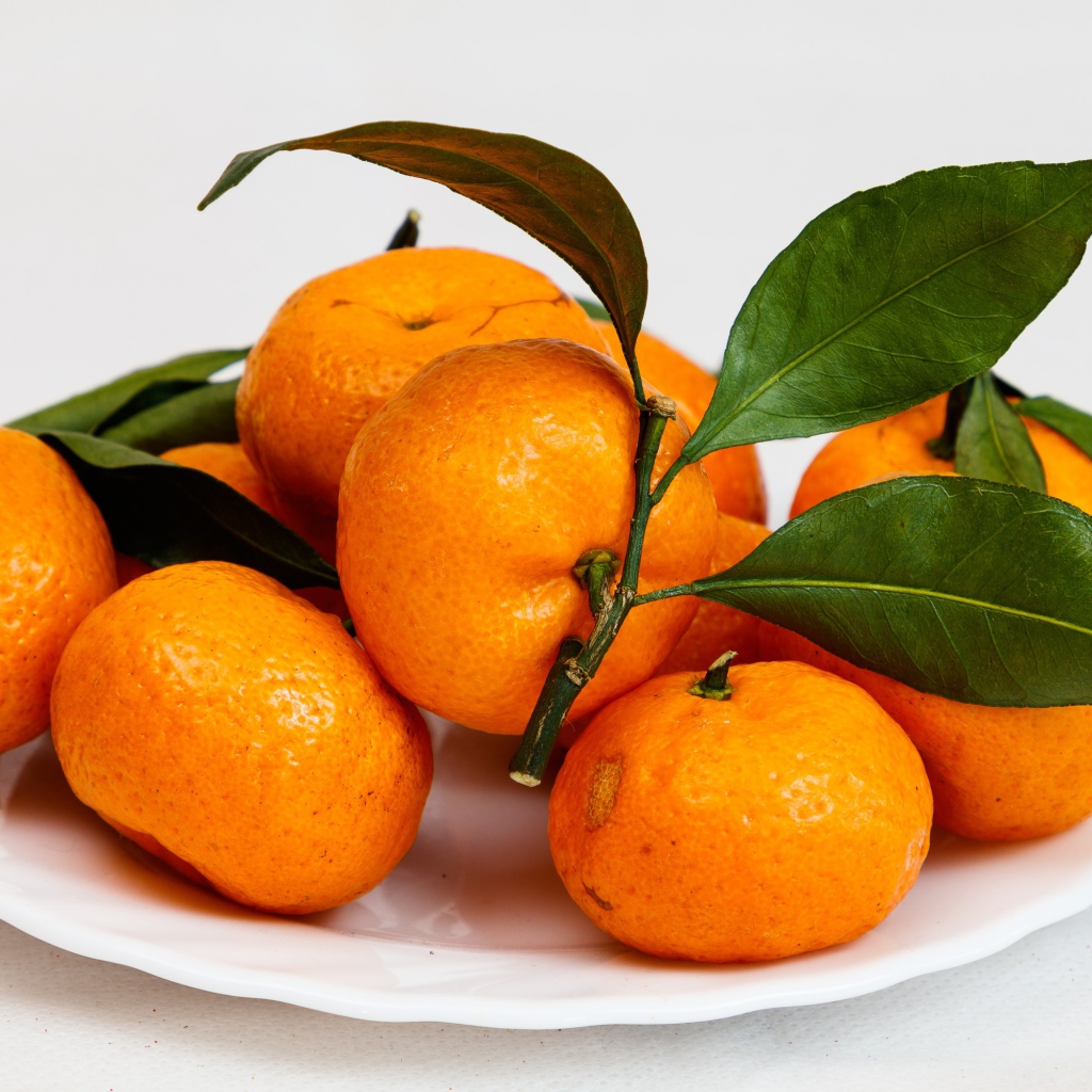 Свежие оранжевые мандарины с зелеными листьями на белой тарелке 