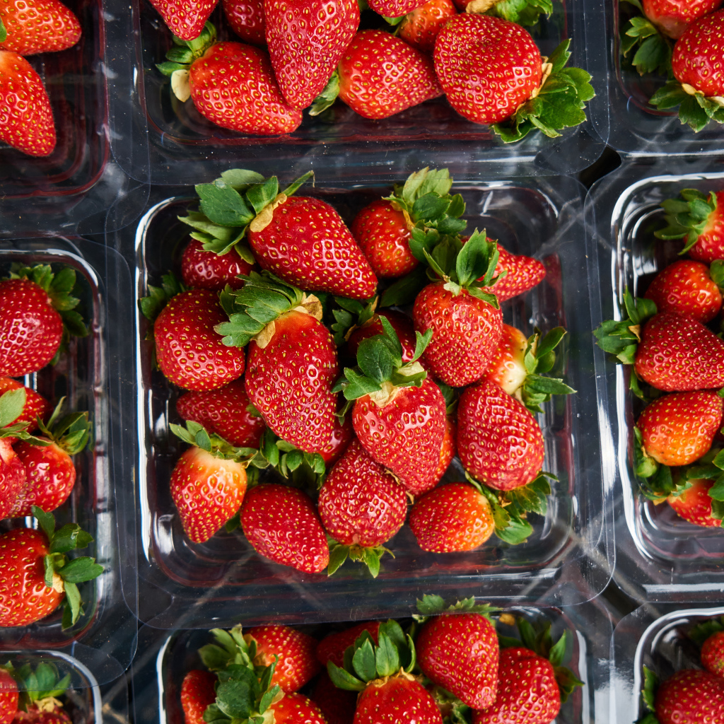 Много контейнеров со спелой сочной красной клубникой 