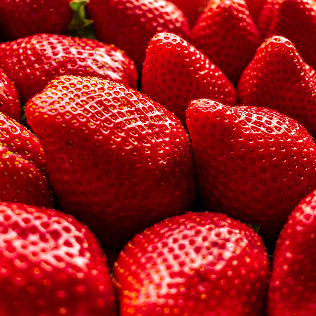 Много сладкой спелой красной клубники крупным планом