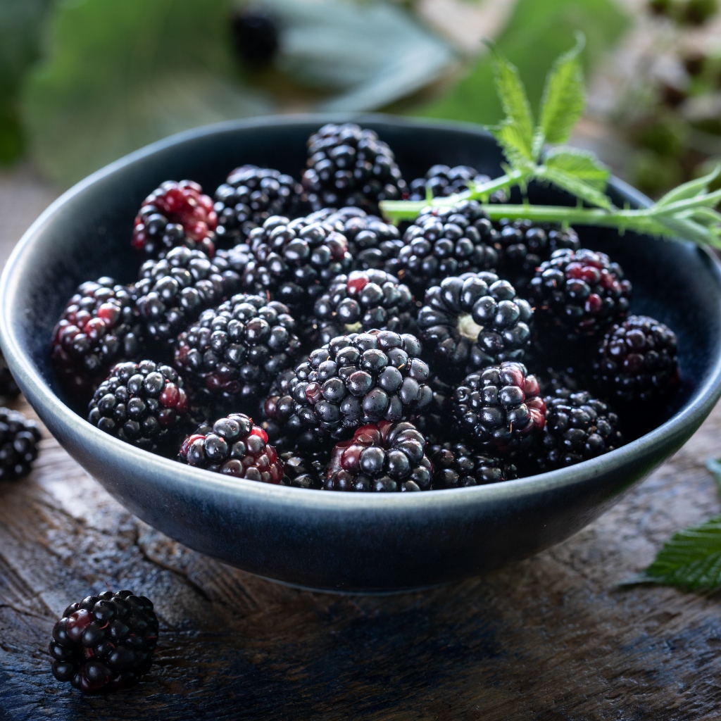 Спелые черные ягоды ежевики в миске на столе 