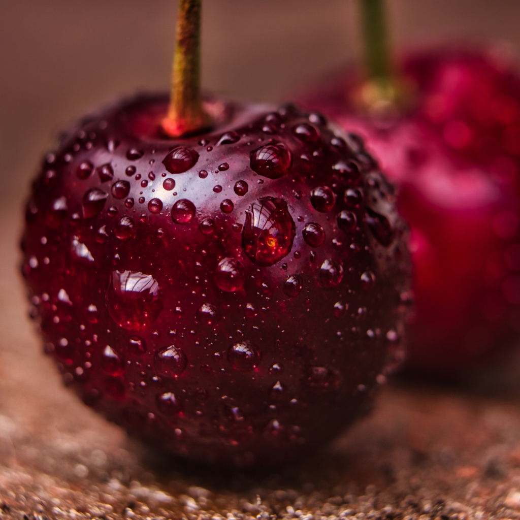 Две спелые красные черешни в каплях воды крупным планом 