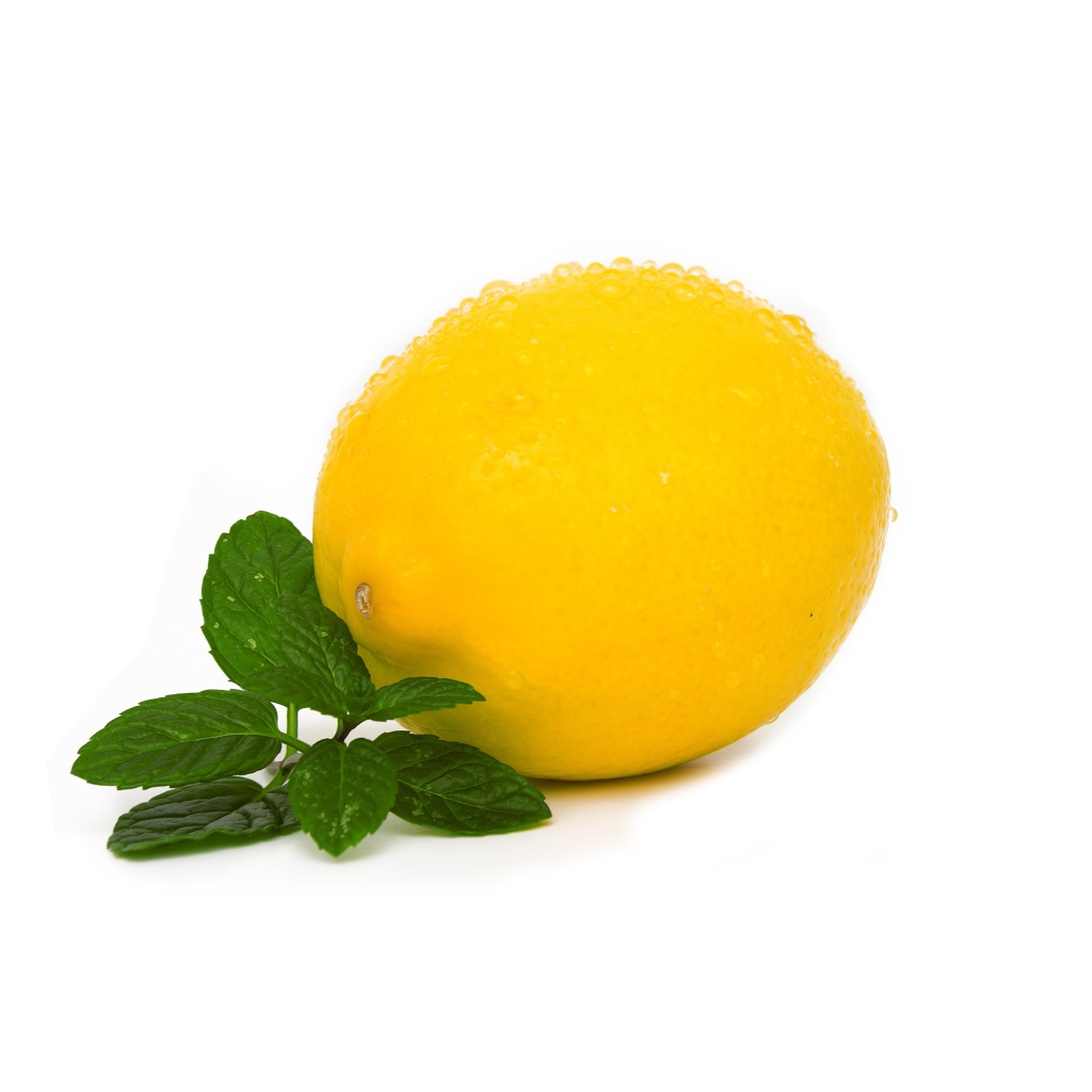 Мокрый лимон с мятой на белом фоне