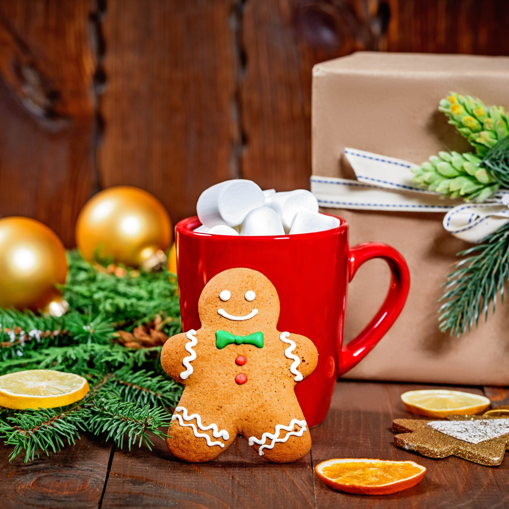 Печенье, чашка, еловая ветка и подарок на Рождество 